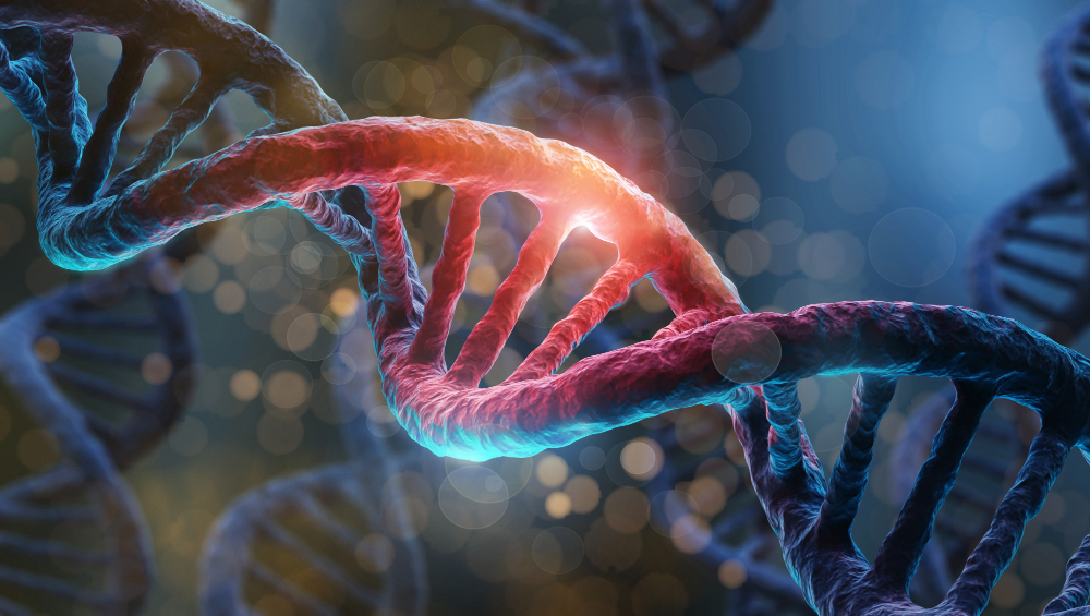 DNA helix representing genomic mutations in Multiple Myeloma disease